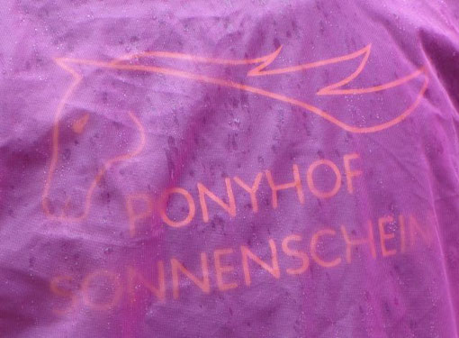 Unser Ponyhof mit Ponyreiten im Raum Köln, Leverkusen und Bergisch Gladbach