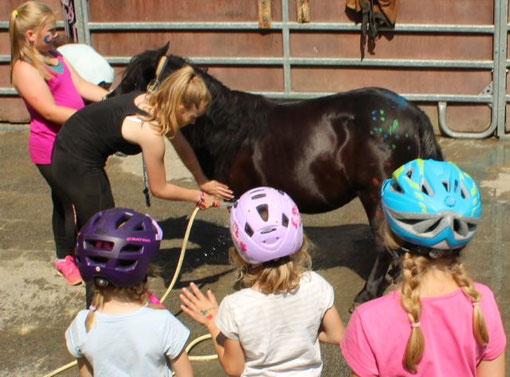 Ponyportal Ponyhof Ponyreiten Köln Bergisch Gladbach - Ponyhof