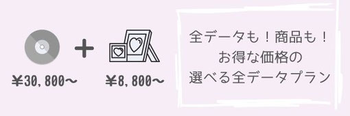 選べる全データプラン