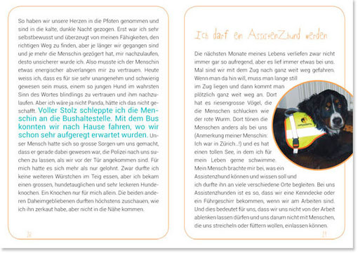 Compaterra Bäribuech - Foto-Auszüge