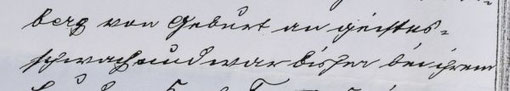 "berg von Geburt an geistesschwach und war bisher bei ihrem", Quelle: StaNt: Protokoll der Armendeputation vom 25.03.1907, §. 176