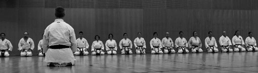 ikikata lehrgang 2012