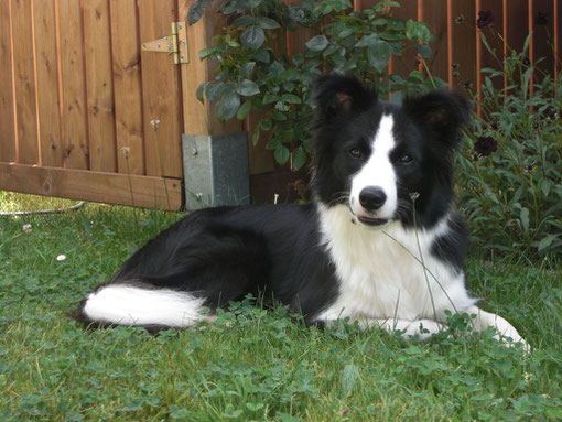 17.08.2011 14,5Monate; 13,8kg; 49,5cm