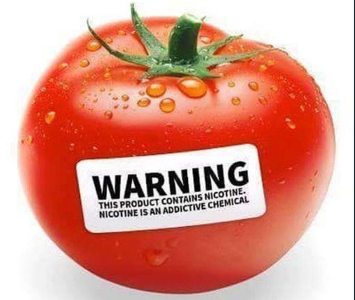 ... kaum zu glauben, dass Nikotin in vielen Lebensmitteln drin ist wie z. B. hier in der Tomate :-)