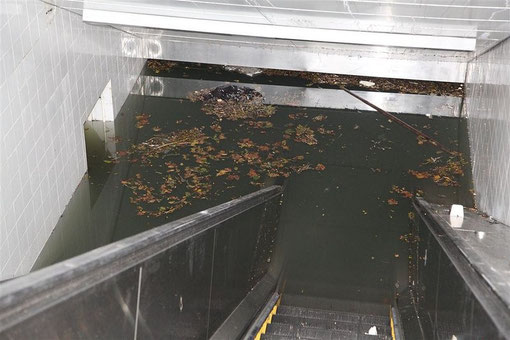 South Ferry Station flooded
