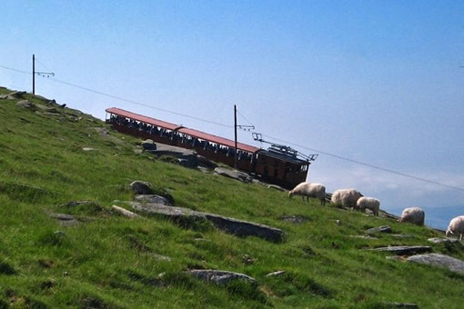 Le petit train de la Rhune