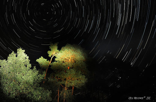 Star Trail 1