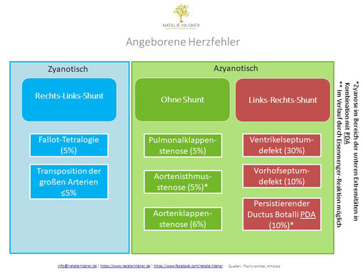 Lernhilfe angeborene Herzfehler Natalie Hilgner