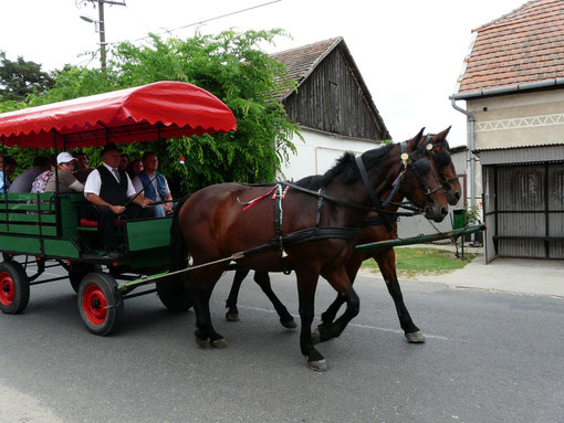 Spargelfest Öttömös