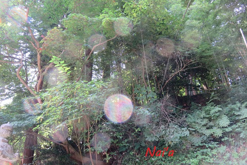 東北スピリチュアル,八幡平スピリチュアル,hachimantai ciropractic,盛岡占い