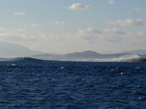 belles vagues de surf sur le reef