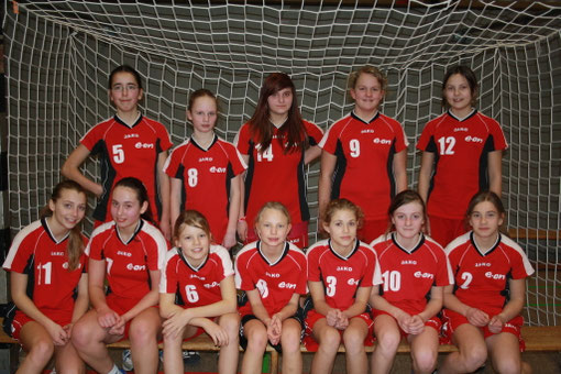 weibliche D-Jugend TuS Altwarmbüchen 2011