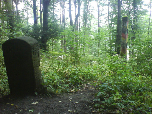 August 2008 2 Grensteine, hinterer ist Grenzstein  DDR - BRD Nähe Eschwege