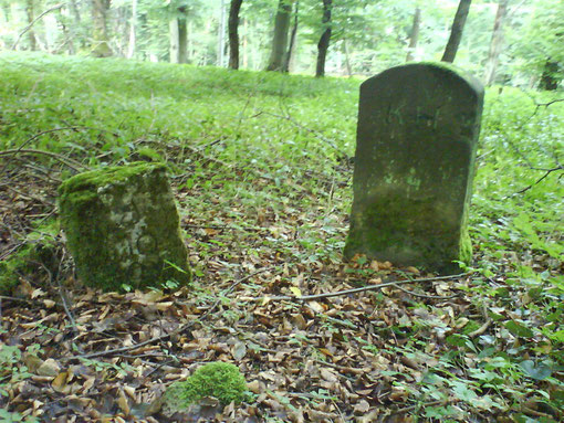 August 2008 Grenstein 2 er Epochen an der Landesgrenze Thüringen Hessen Nähe Eschwege / Silberklippe