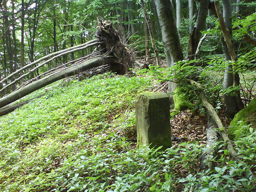 August 2008 Grenzstein Bistum Hessen / Thüringen