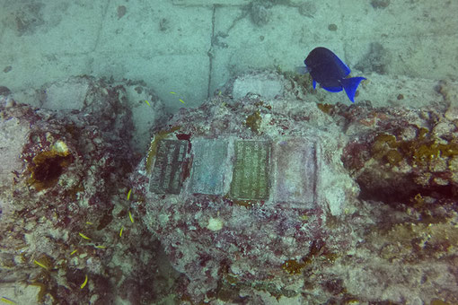 Neptune Memorial Reef, Miami, Florida/USA