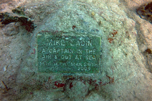 Neptune Memorial Reef, Miami, Florida/USA