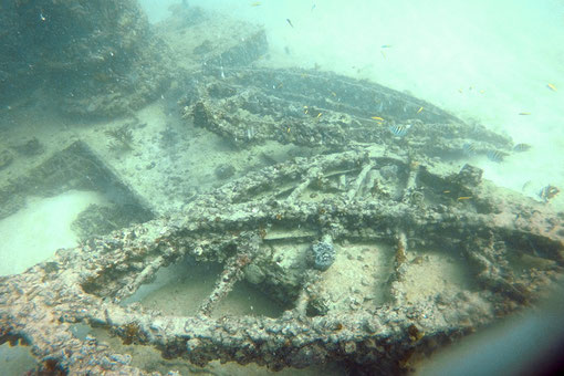 Neptune Memorial Reef, Miami, Florida/USA