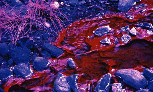 Geothermal spring in infrared false color; Mayi ya Moto, DRC.