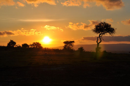 La magnifique savane africaine à l'aube