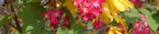 Haeder_12