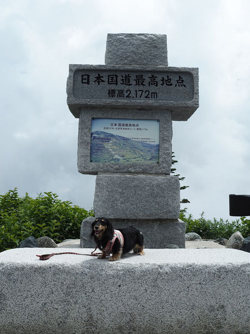 国道で一番高いところでパチリ