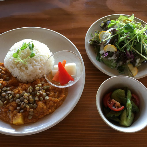 こだま食堂　カレー　松本市梓川