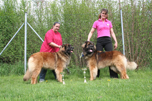 Femke und Fokko