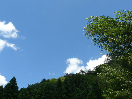 梅雨明け