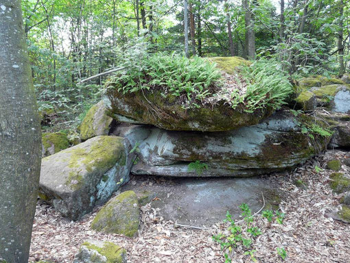 Le sentier des Demoiselles de Pierre