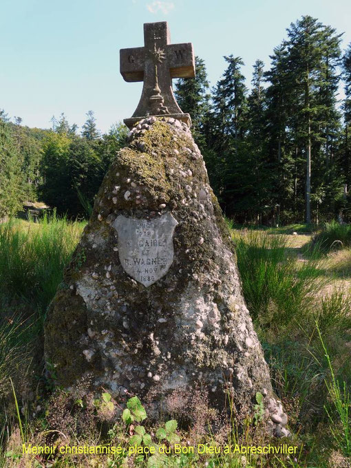 Grand soldat, forêt, Vosges