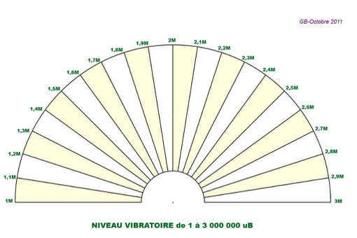 Niveau vibratoire