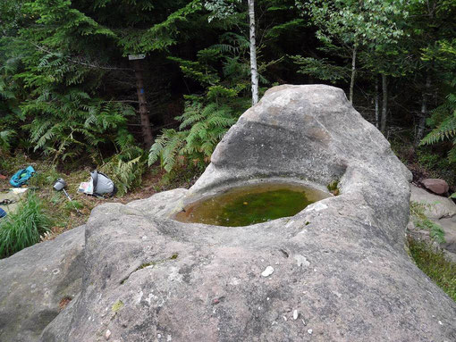 Bassin en forme de baquet sur le dolmen de la Haute Côte.