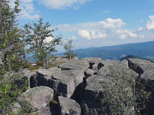 Randonnée en Alsace