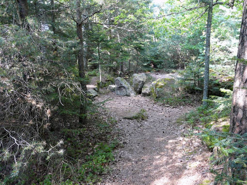 Le sentier des Demoiselles de Pierre