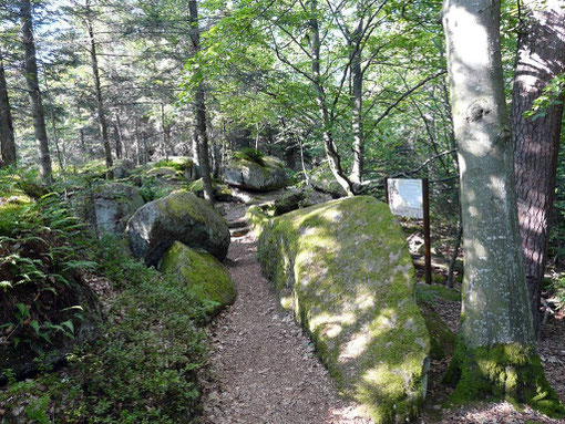 Le sentier des Demoiselles de Pierre