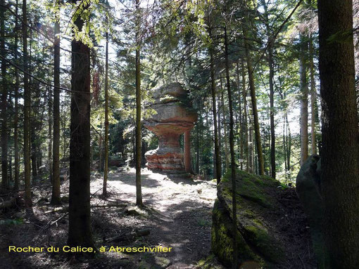 Grand Soldat, forêt, Vosges