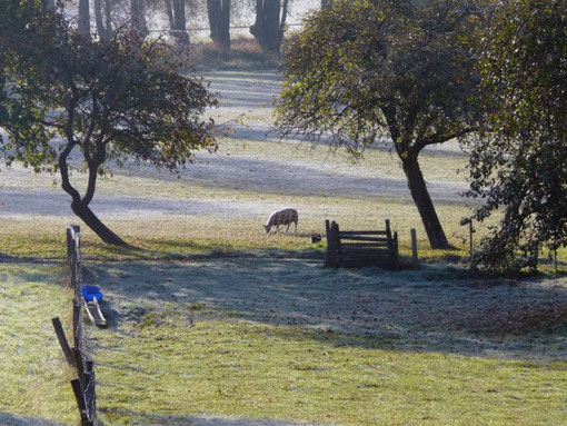 Paysage d'automne