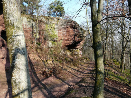 Le saut du prince Charles