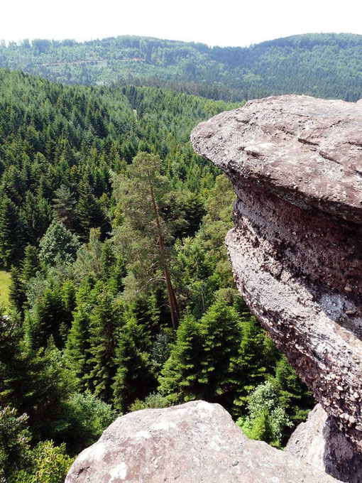 Hohwalsch, Walscheid, Vosges