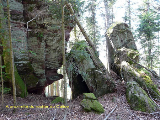 Grand soldat, forêt, Vosges, Abreschviller