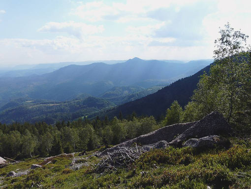 Randonnée en Alsace