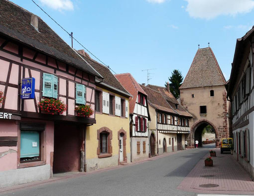 La route du Vin