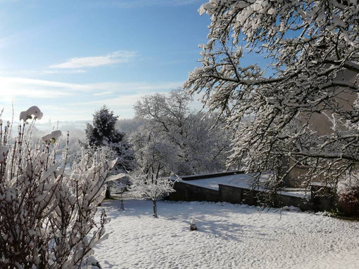 Photo 2 27/11/2010 : mon verger sous la neige