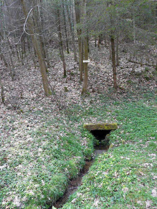 La source de la hutte de Fouquet