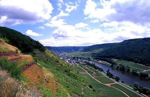 Moseltal bei Valwig