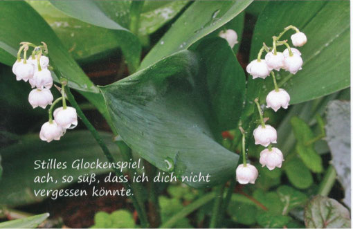 Bild und Text: Heike Trefflich