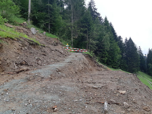 Strassenneubau "Bergzone Ost": Informationen über aktuelle Strassensperrungen auf der Homepage der Gemeinde Domat/Ems. Unter "Suchen" Bergone Ost eingeben.