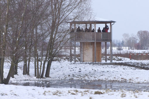 Beobachtungsturm am Sophiensee (Foto: Gerhard Erdtmann)