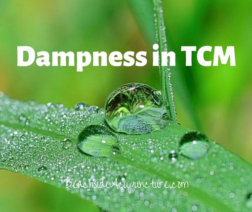 "Dampness in TCM" over a moist leaf 